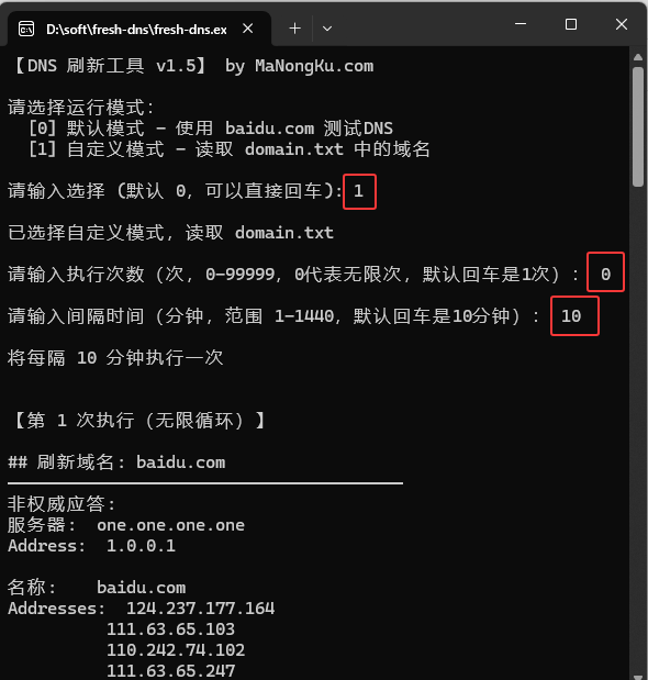 fresh-dns-2.png